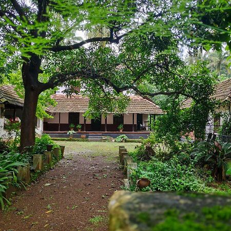 Villa Meadows à Thrissur Extérieur photo